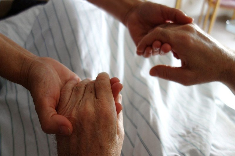 NATIONAL VEGETATIVE STATES DAY THE COMMITMENT AND WORK OF FERRARI'S